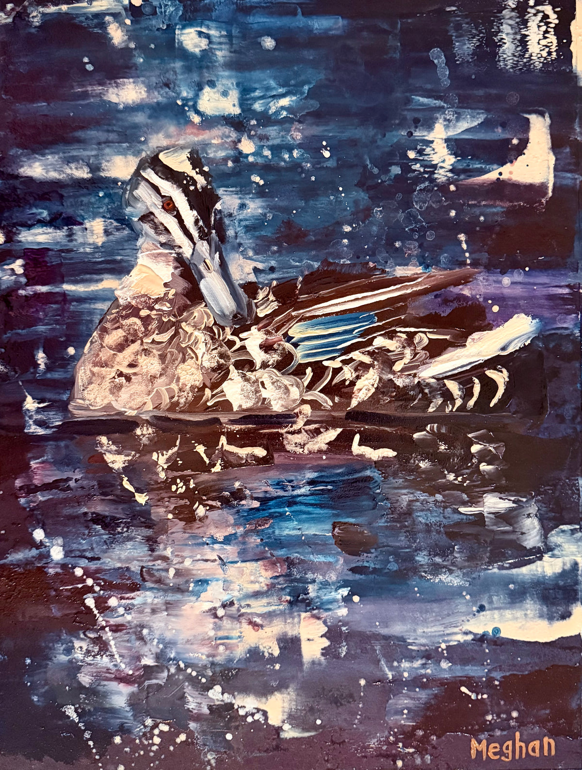 Nocturne Duck