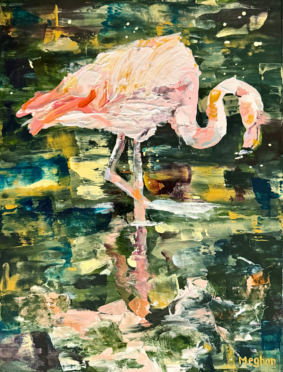 Flamingo