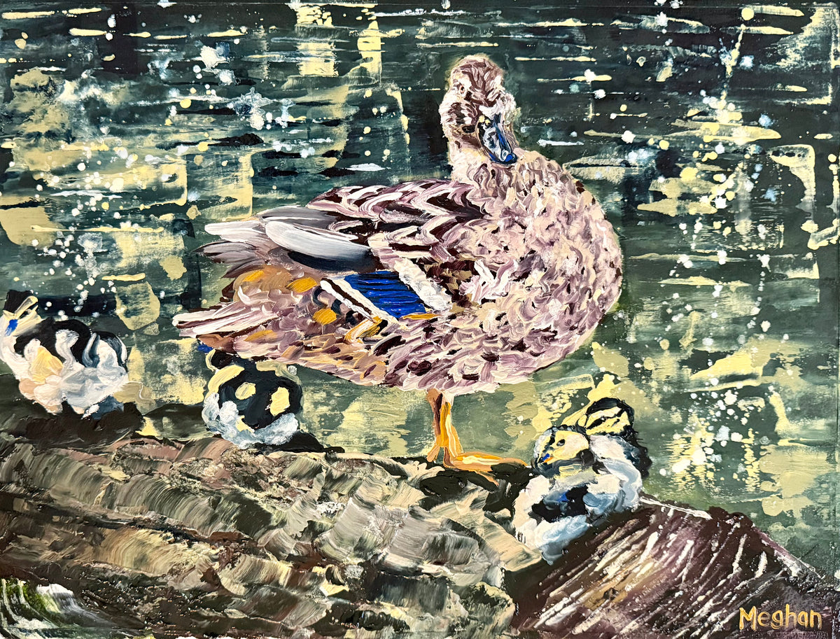 Mallard Family