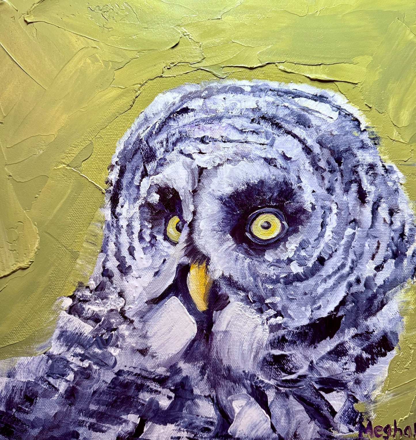 Great Grey Owl with Greyed Earth