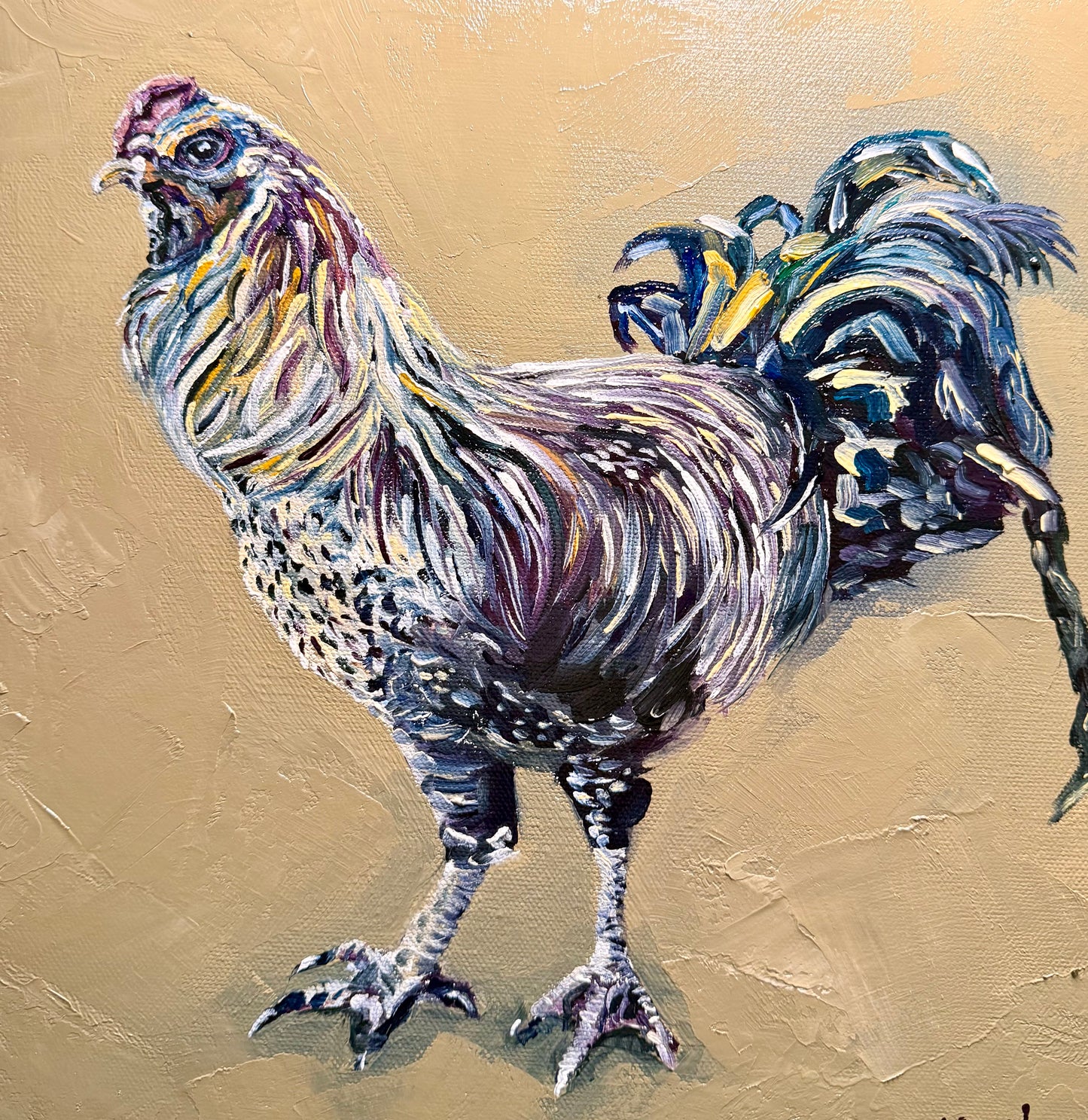 Colorful Rooster