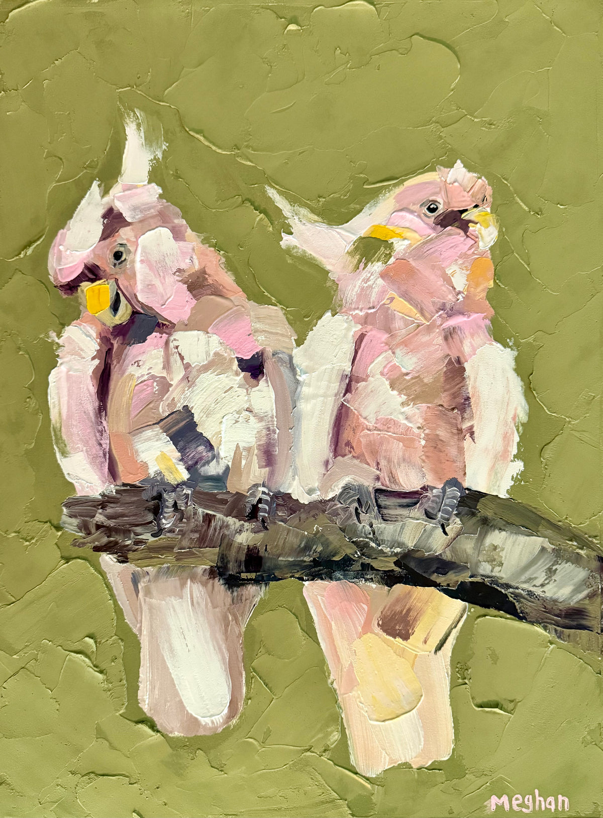 Pair of Pink Cockatoos