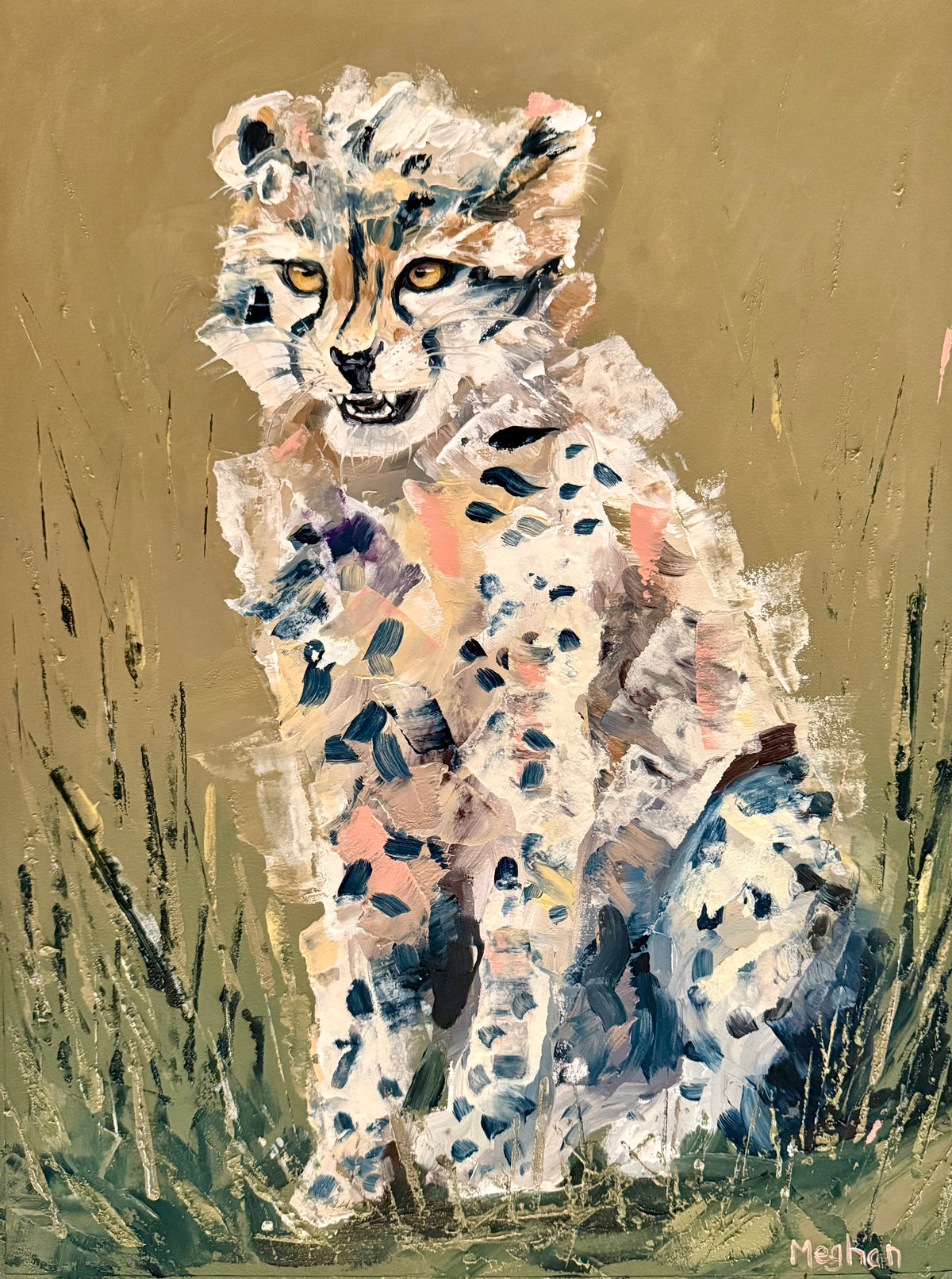 Young Cheetah