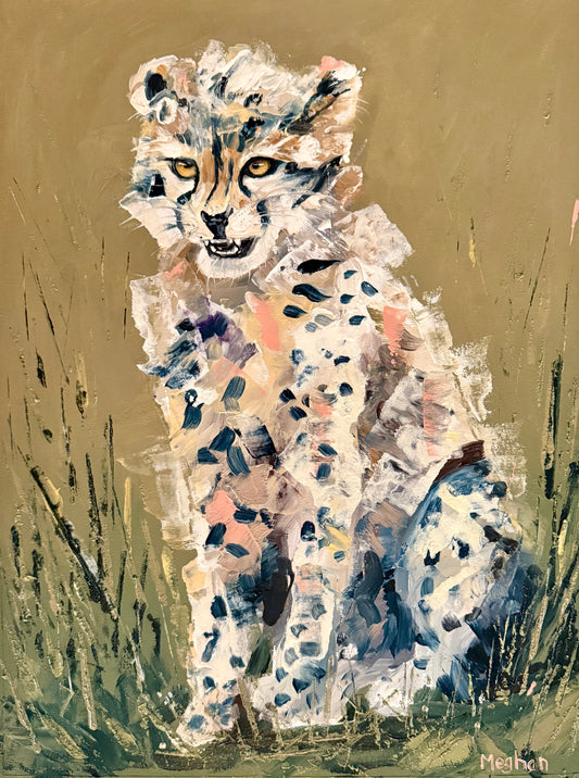 Young Cheetah