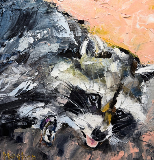Resting Raccoon