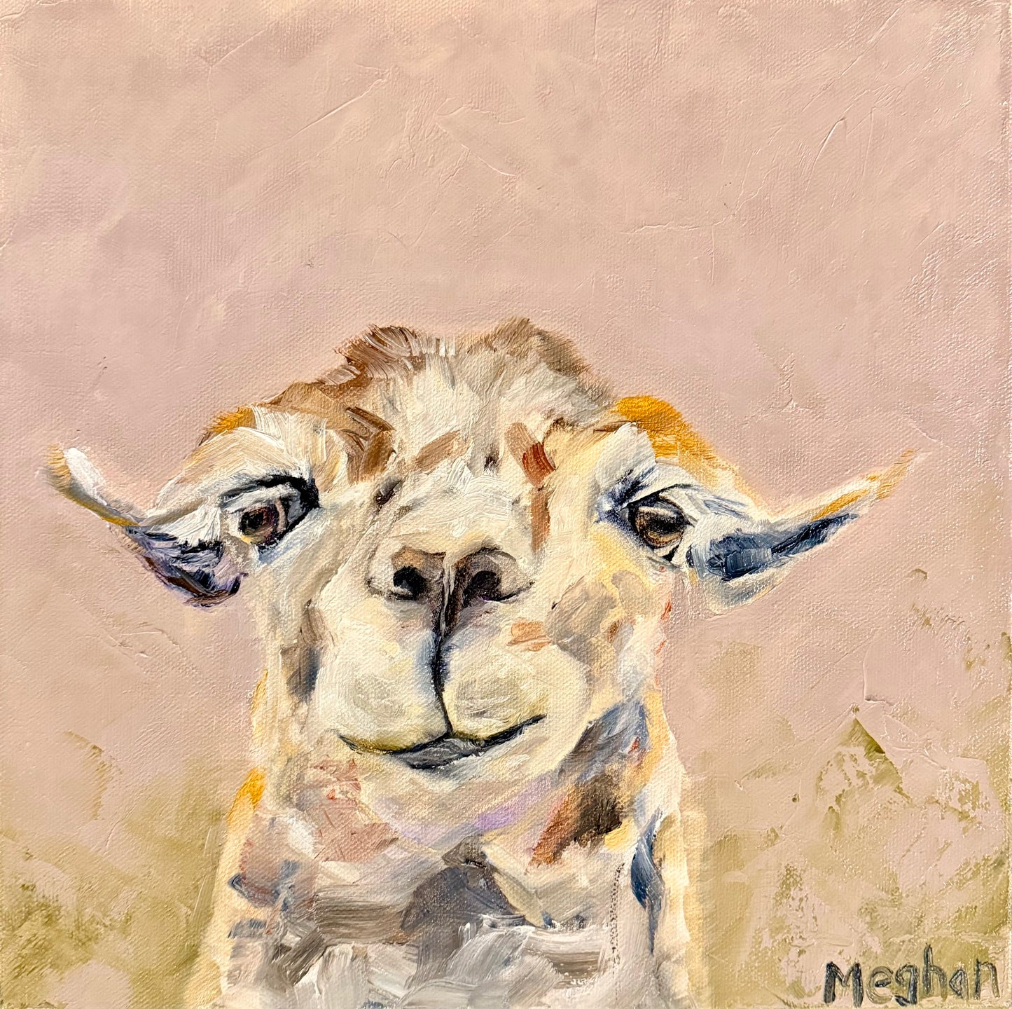 Curious Llama