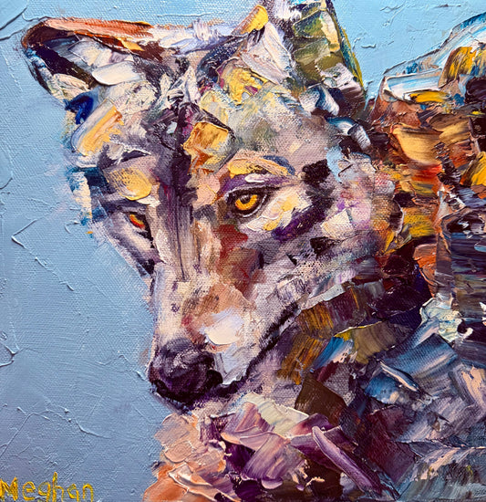 Wolf With Many Colors