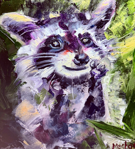 Joyful Raccoon